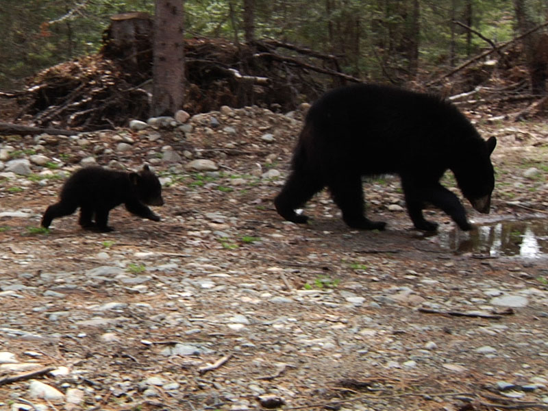 Faith_and_Hope_-_20110510