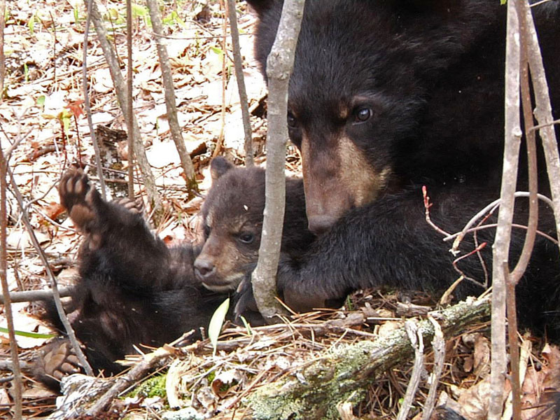 Faith_and_Hope_-_20110514