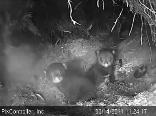 Faith_and_Jason_-_20110314_112417