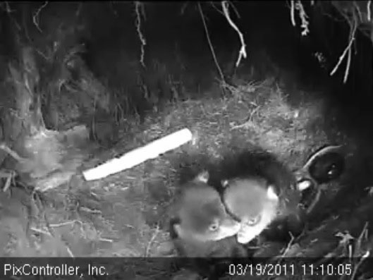 Faith_and_Jason_-_20110319_111005