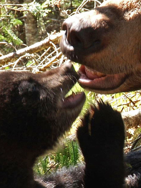 Faith_and_Lily_-_20110526