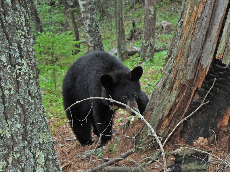 Faith approaches cautiously - May 15, 2012