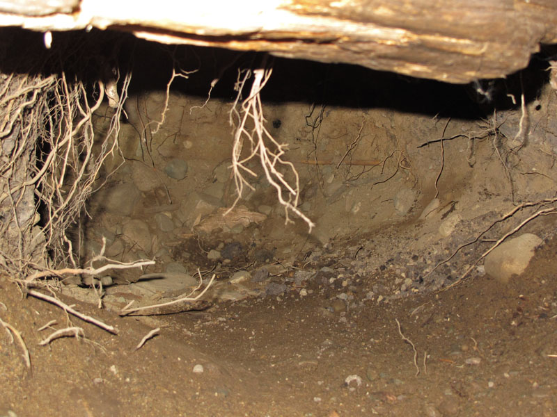 Inside Faith's den - Oct 20, 2012