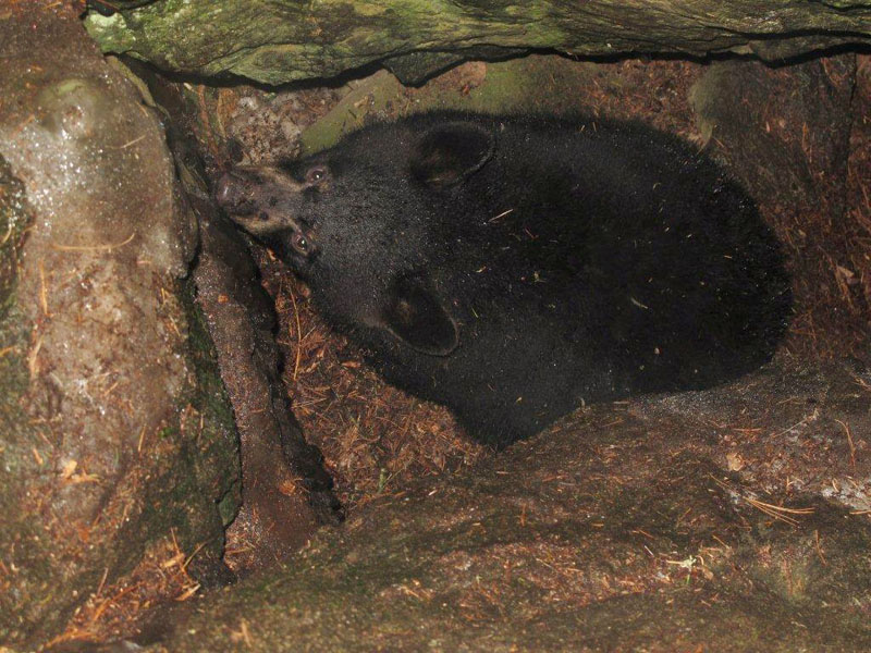 Faith in den - March 18, 2012