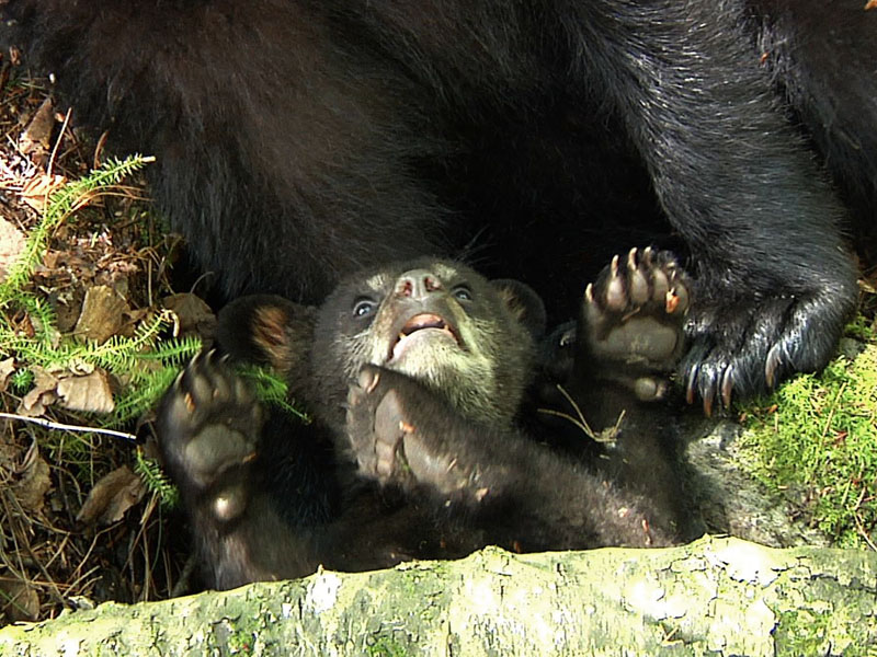 Faith_looking_up_at_Hope_-_20110531