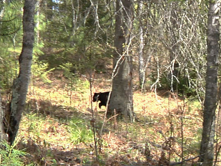 Faith runs away when we try to follow - May 9, 2012