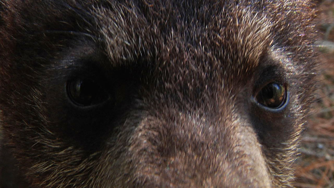 Faith_up_close_-_20110526