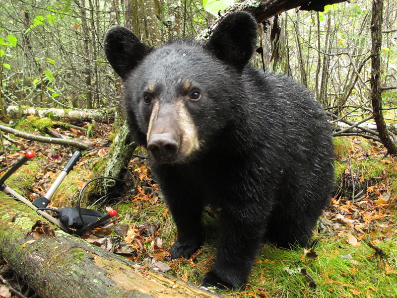 Faith who_me_-_20111013