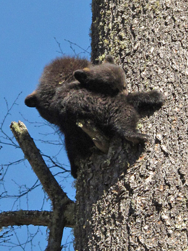 Yes, really asleep! - April 28, 2012