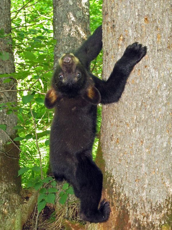 Fern gets a new perspective - July 10, 2012