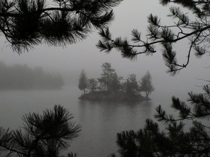 Foggy island_ENL1_10-29-11