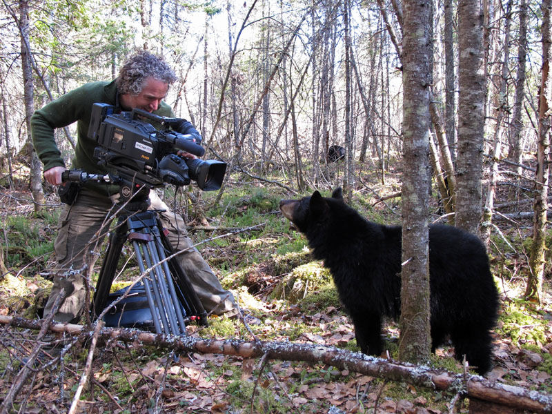 Gordon Buchanan during filming of 'Bear Family & Me'