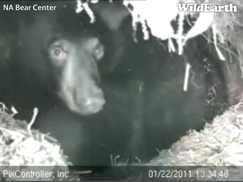 Hope_-_20110122_133448