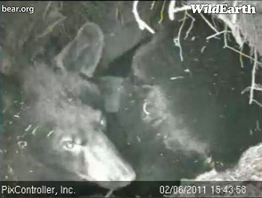 Hope_-_20110206_154358