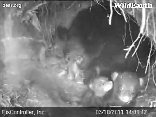 Hope_Jason_and_Faith_-_20110310_140042