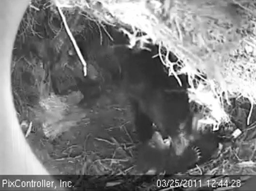 Hope_and_Faith_-_20110325_124428