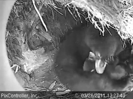 Hope_and_Faith_-_20110326_132740