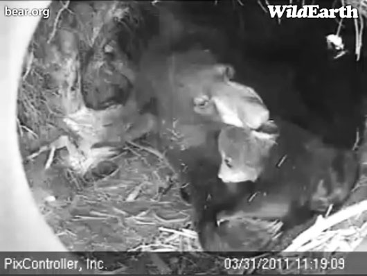 Hope_and_Faith_-_20110331_111909