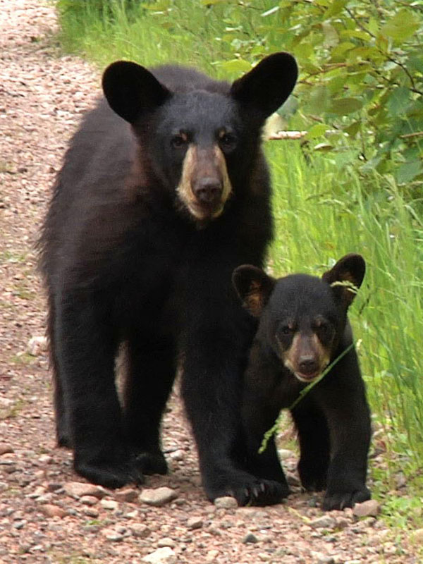 Hope_and_Faith_-_20110621