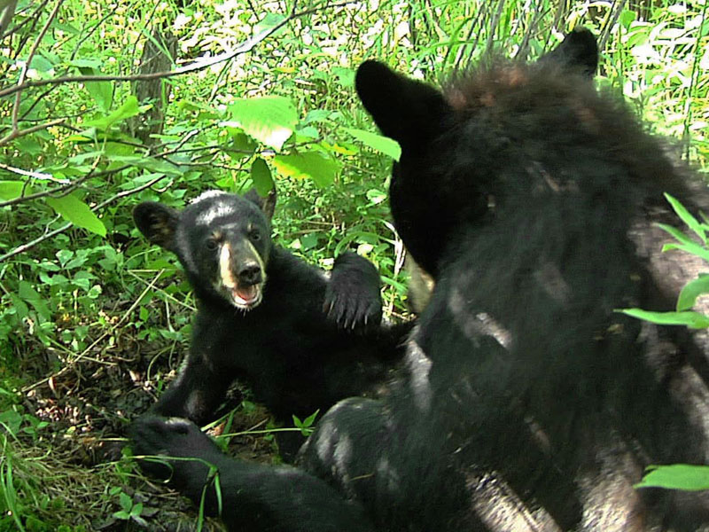 Hope_and_Faith_-_20110704