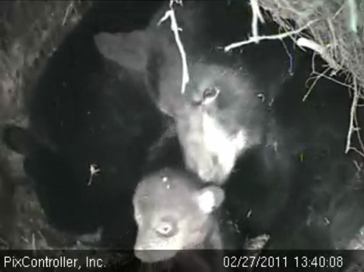 Hope_and_Jason_-_20110227_134008