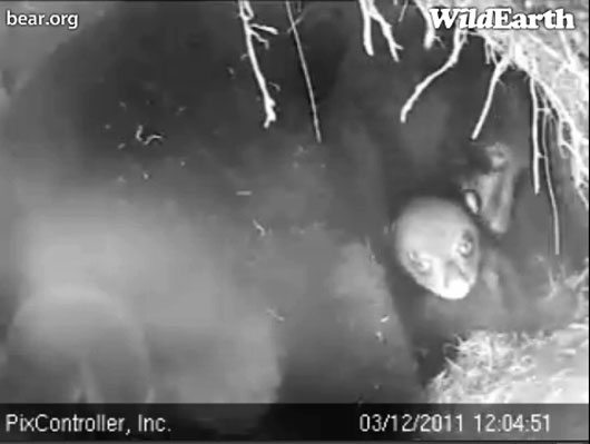 Hope_and_Jason_-_20110312_120451