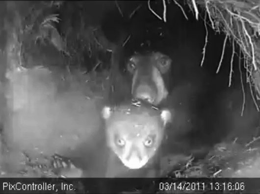 Hope_and_Jason_-_20110314_131606