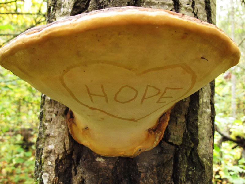 Hope heart_-_20110922