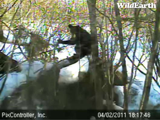 Hope_on_den_-_20110402_181746