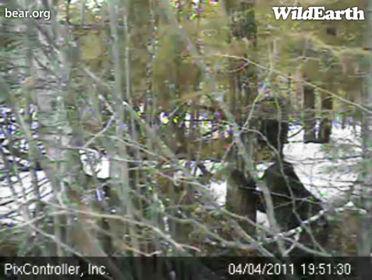 Hope_standing_at_tree_-_20110404_195130