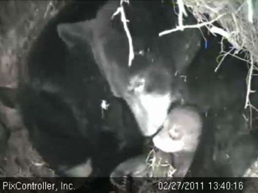 Hope_with_Jason_after_big_escape_-_20110227_134016