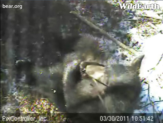 Hope_with_cable_-_30110330_105142