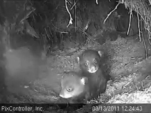 Jason_and_Faith_-_20110313_122443