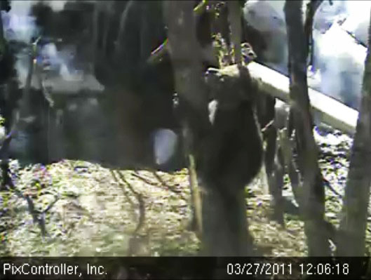 Jason_climbing_-_20110327_120618