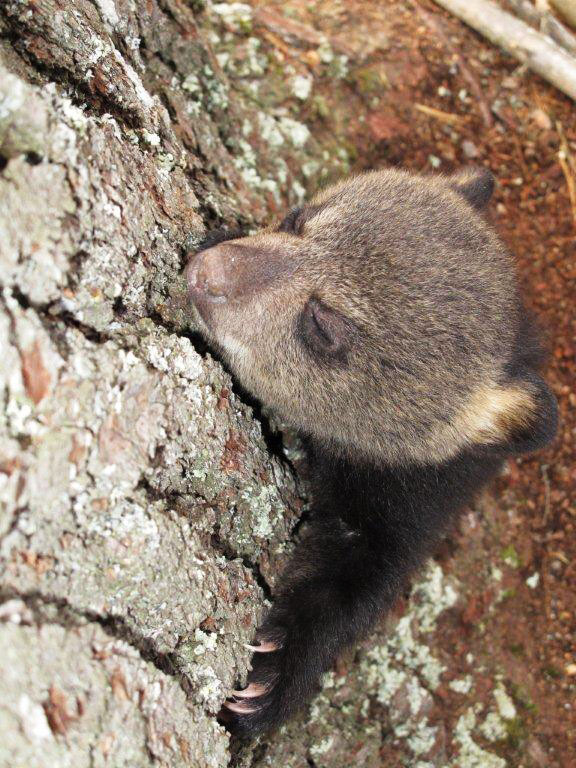 Jason_tired_-_20110408