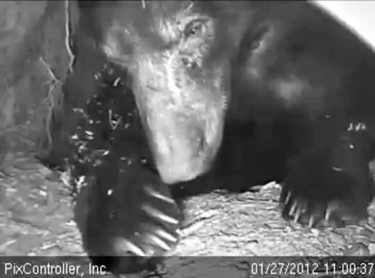 Jewel - Jan 27, 2012