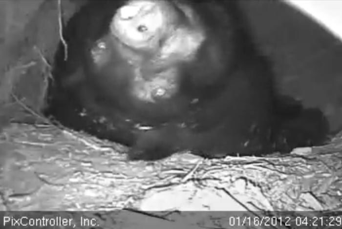 Jewel views the world upside down - Jan 16, 2012