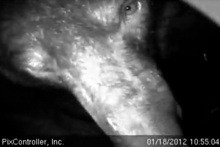 Jewel up close and personal - Jan 18, 2012