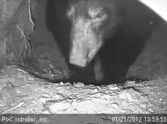 Jewel stands in her bed - Jan 21, 2012