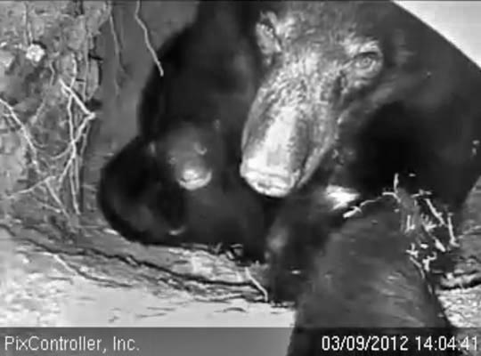 Jewel and Herbie - March 9, 2012