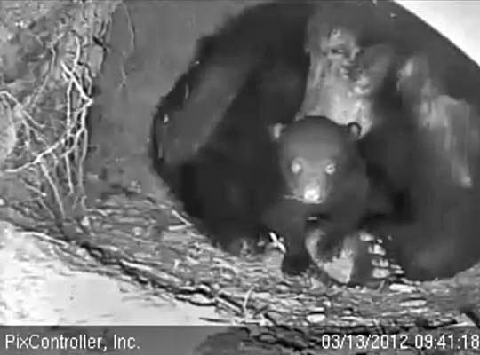 Jewel and Fern - March 13, 2012