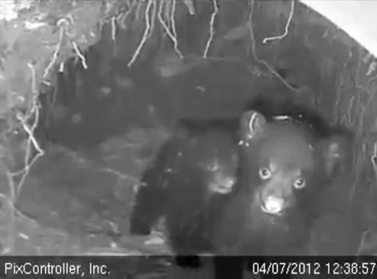 Faith and Herbie - April 7, 2012