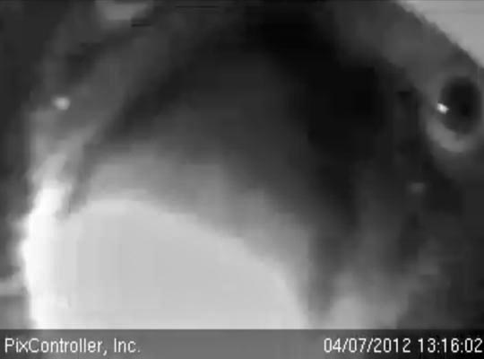 Herbie sniffs the camera - April 7, 2012