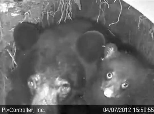 Jewel and Herbie - April 7, 2012