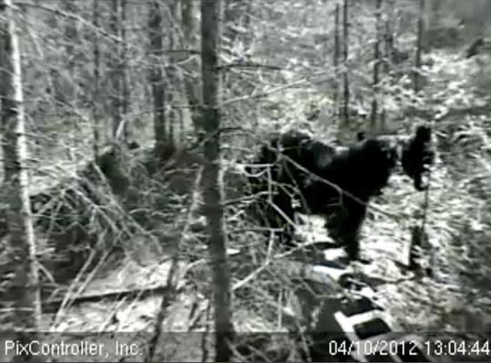 Jewel nuzzles Herbie as he climbs - April 10, 2012