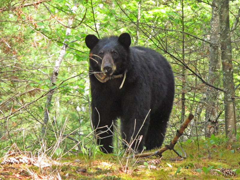 Jewel - May 23, 2012