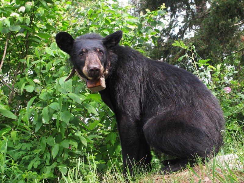 Jewel - June 26, 2011