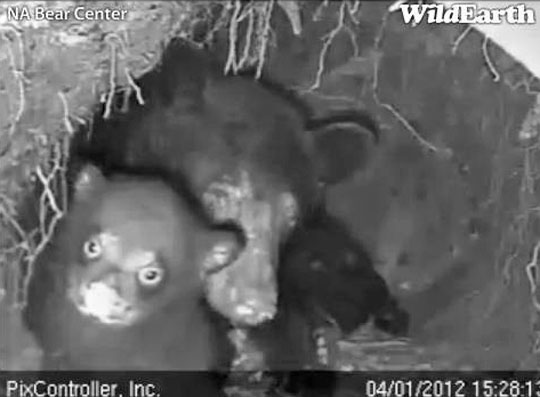 Jewel and Herbie - April 1, 2012