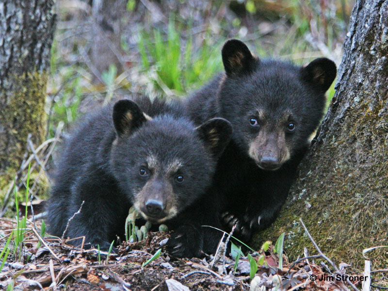 Jewel & Jordan - Spring 2009