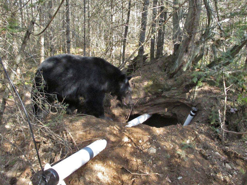 Jewel at her den - March 18, 2012